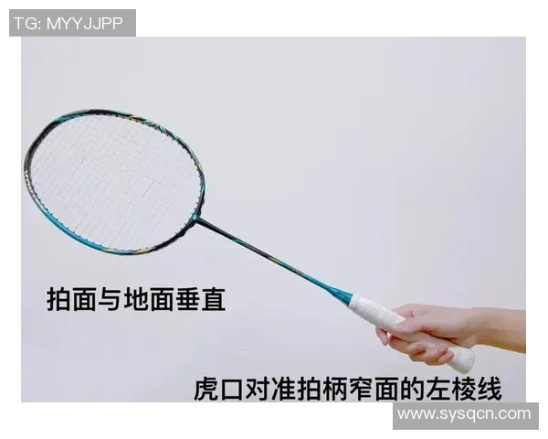 羽毛球新手攻略：个人能力入门指南_1