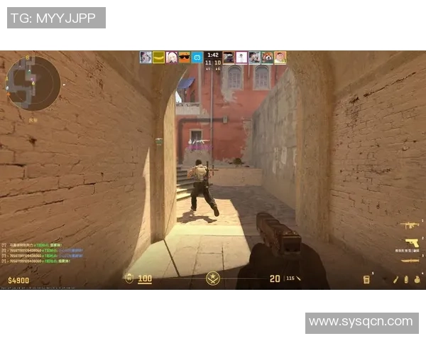 CS_GO评论：TES的防反得失