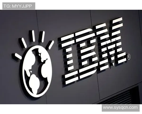 数据分析：武汉飞盘队的比赛经验表现